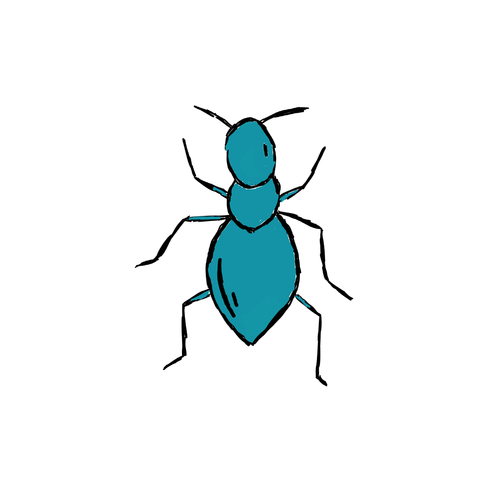 Ant