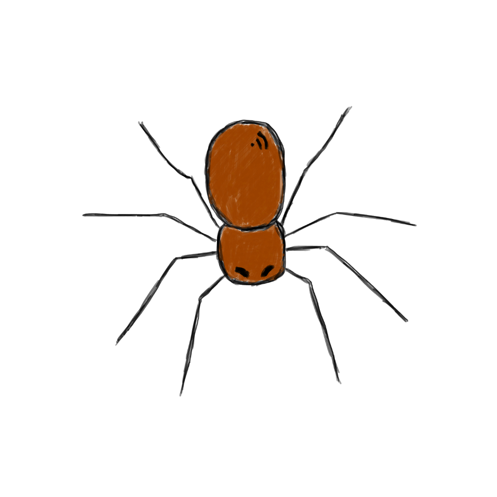 Spider